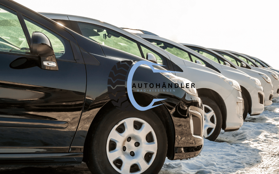 Elektroautos unter 10.000 Euro: Nachhaltige Optionen für Sparfüchse